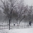 Зима снег погода: зима, погода, снег