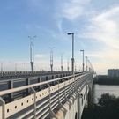 метромост: метромост