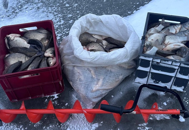 Караси, щуки и окуни: омичи назвали самые «клевые» места для зимней рыбалки